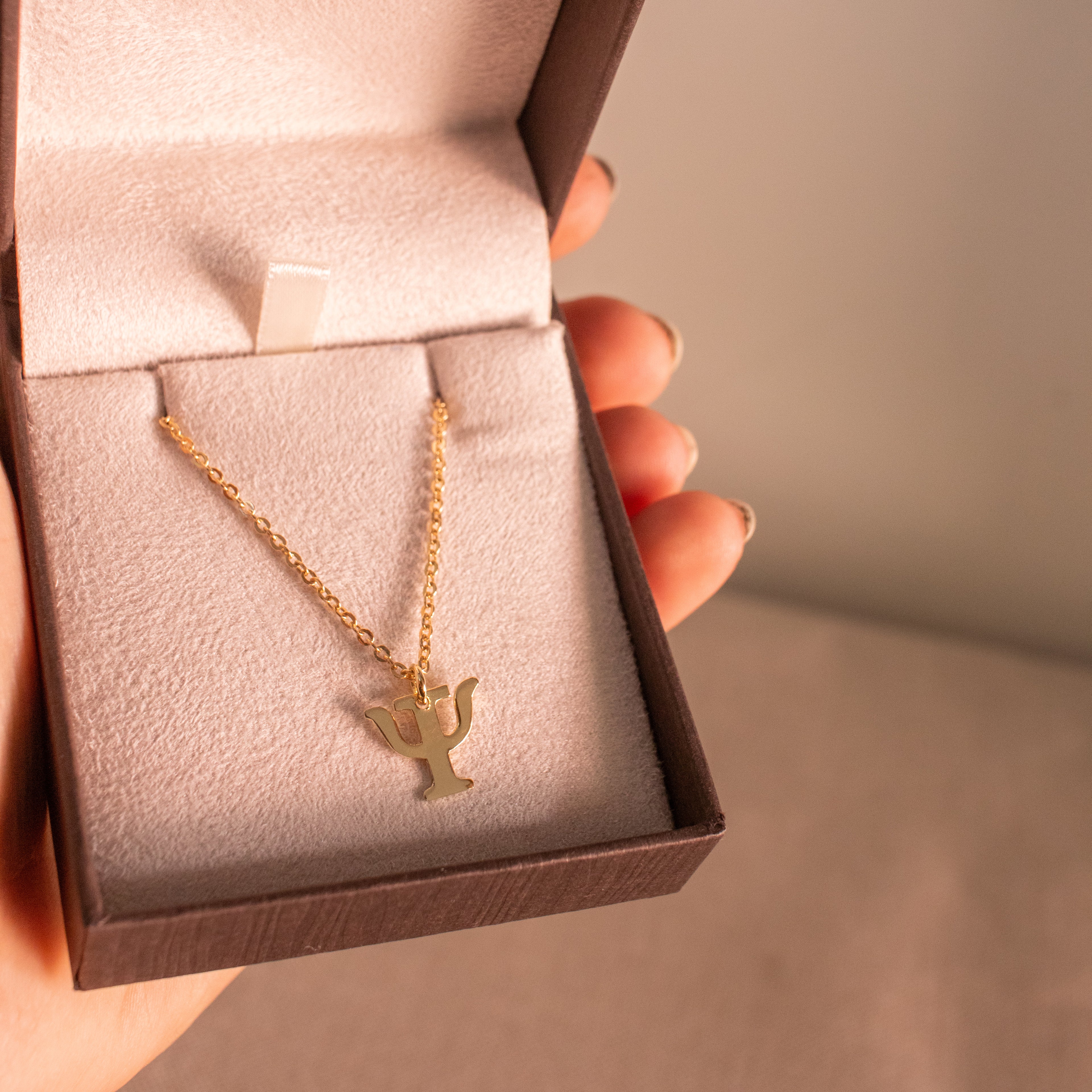 Colar de Profissão em Ouro18k